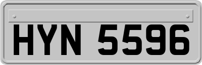 HYN5596