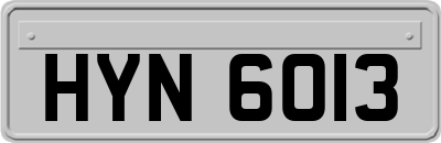 HYN6013