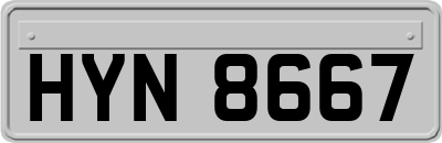 HYN8667
