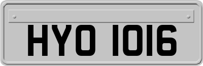 HYO1016
