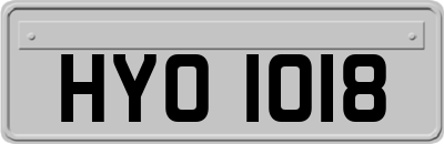 HYO1018