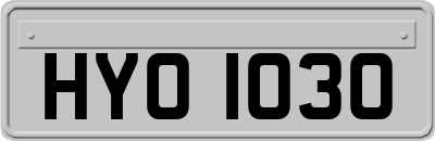 HYO1030