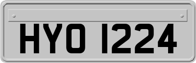 HYO1224