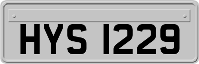 HYS1229