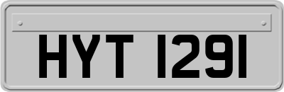 HYT1291