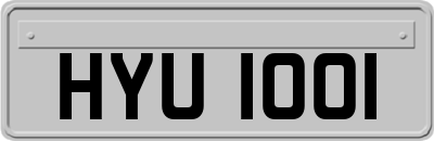 HYU1001