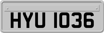HYU1036