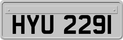 HYU2291