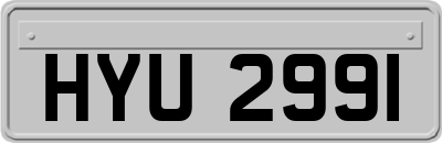 HYU2991