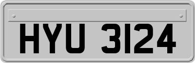 HYU3124