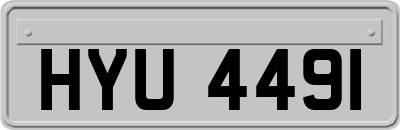 HYU4491