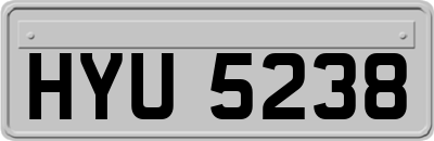 HYU5238