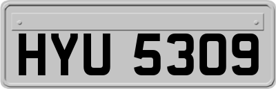 HYU5309