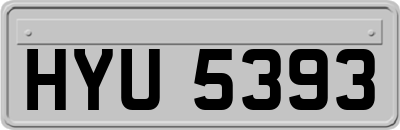 HYU5393