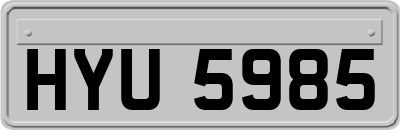 HYU5985