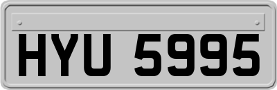 HYU5995