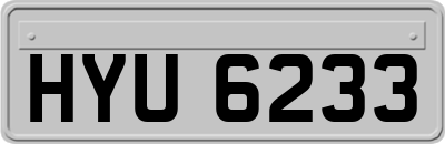 HYU6233