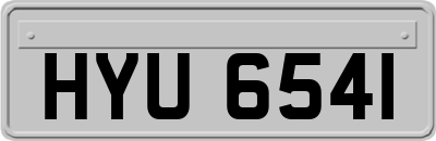 HYU6541