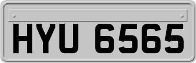 HYU6565