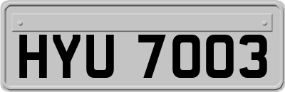 HYU7003