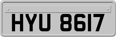 HYU8617