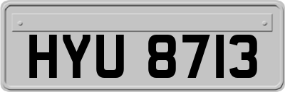 HYU8713