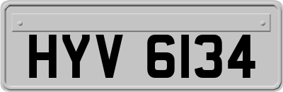HYV6134
