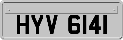 HYV6141