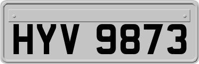 HYV9873