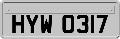 HYW0317
