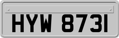 HYW8731