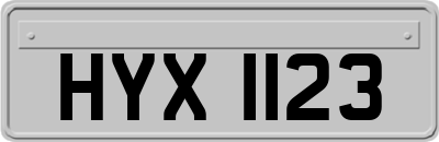 HYX1123