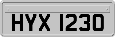 HYX1230
