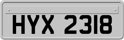HYX2318