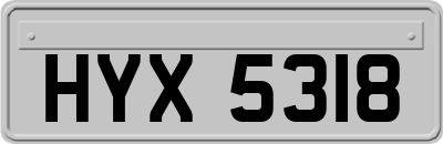 HYX5318