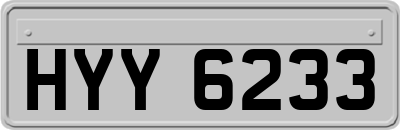 HYY6233