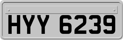 HYY6239