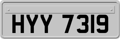HYY7319