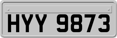 HYY9873
