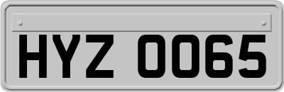 HYZ0065