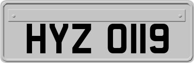HYZ0119