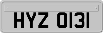 HYZ0131