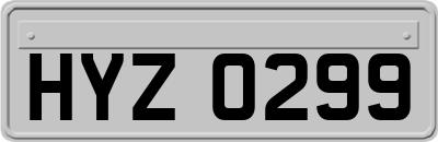HYZ0299