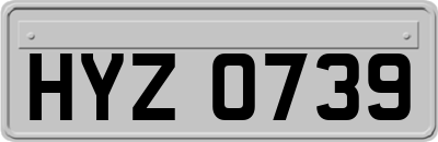HYZ0739