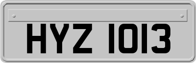 HYZ1013