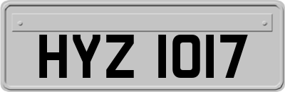 HYZ1017