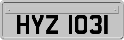 HYZ1031