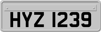HYZ1239