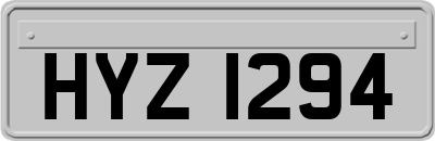 HYZ1294