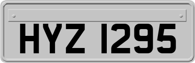 HYZ1295